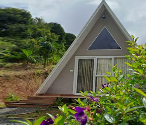TEAL LUXURY STAYS -Agronest Farm Resort Wayanad4