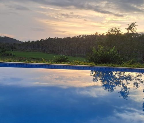 TEAL LUXURY STAYS -Agronest Farm Resort Wayanad5